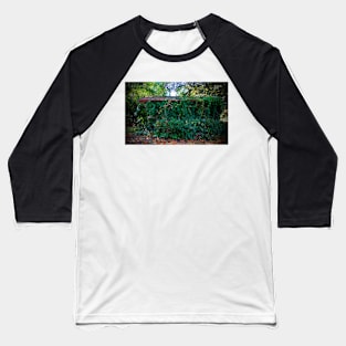 Hidden Shed Baseball T-Shirt